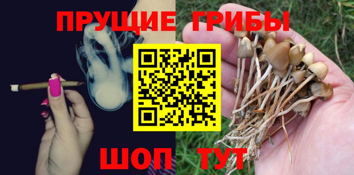 Каменка  Галлюциногенные грибы мицелий  Вход с VPN 